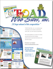 TOAD Web Sites Flyer