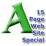 Web Site SPECIAL - 15 Page Web Site for $3,495.00