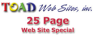 Web Site SPECIAL - 20 Page Web Site for $4,995.00