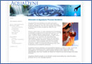 Aquadyne Wastewater Solutions