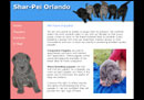Shar Pei Puppies of Orlando