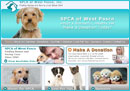 SPCA West Pasco